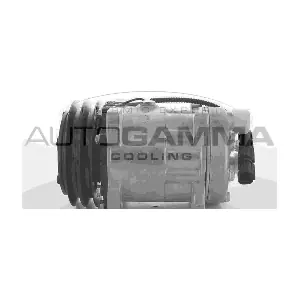 AUTOGAMMA 118596