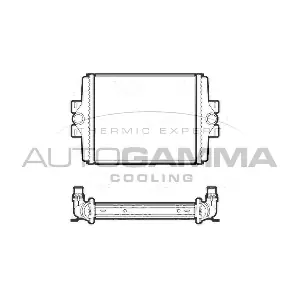 107406 AUTOGAMMA