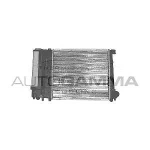 102031 AUTOGAMMA