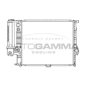 100126 AUTOGAMMA