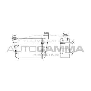 102986 AUTOGAMMA