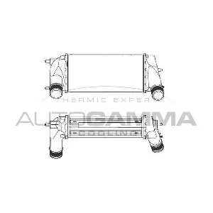 107416 AUTOGAMMA