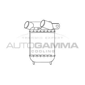 101956 AUTOGAMMA