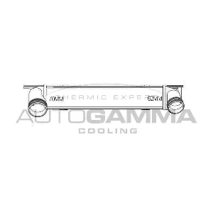 107405 AUTOGAMMA