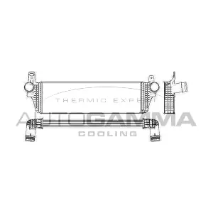 105678 AUTOGAMMA