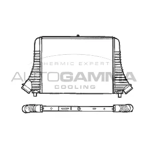 101490 AUTOGAMMA