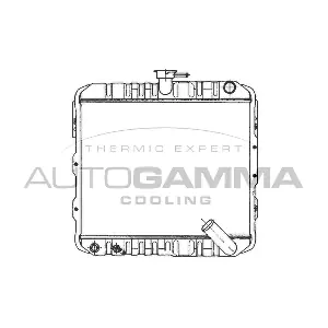 100566 AUTOGAMMA