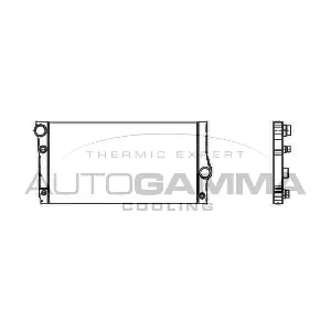 105311 AUTOGAMMA