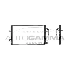 101746 AUTOGAMMA