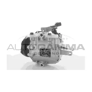 108999 AUTOGAMMA