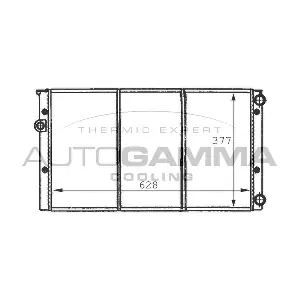101057 AUTOGAMMA