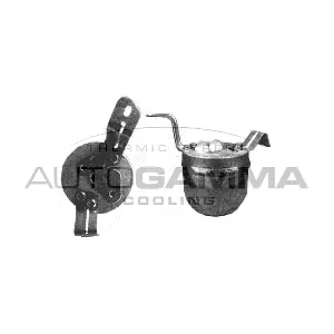 106060 AUTOGAMMA