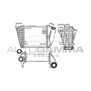 102985 AUTOGAMMA