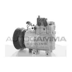 118502 AUTOGAMMA