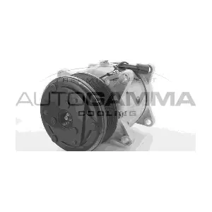 109103 AUTOGAMMA