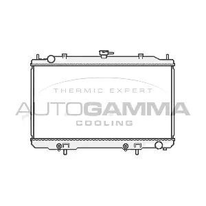 107018 AUTOGAMMA