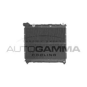 101265 AUTOGAMMA