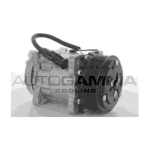108971 AUTOGAMMA
