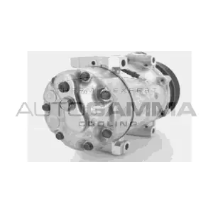 AUTOGAMMA 108009