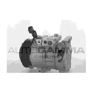 118489 AUTOGAMMA