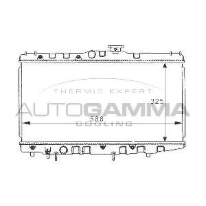 101017 AUTOGAMMA