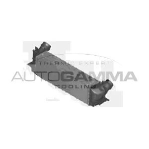 107302 AUTOGAMMA