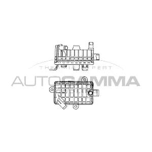 102012 AUTOGAMMA