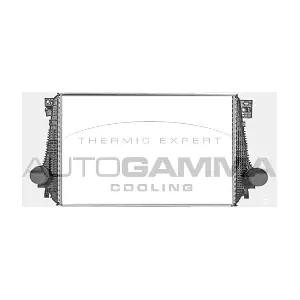 107505 AUTOGAMMA