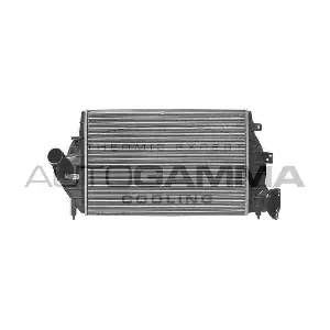 101488 AUTOGAMMA