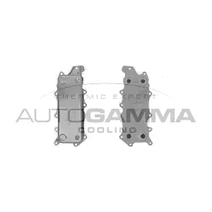 110006 AUTOGAMMA