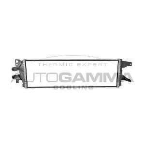 107823 AUTOGAMMA