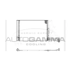 103725 AUTOGAMMA