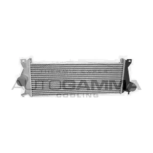 107713 AUTOGAMMA