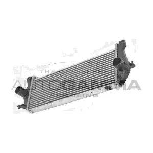 107807 AUTOGAMMA