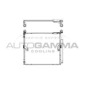 107513 AUTOGAMMA
