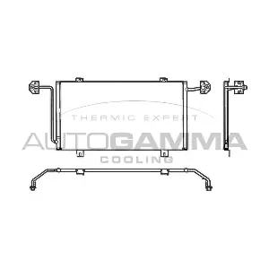 102564 AUTOGAMMA