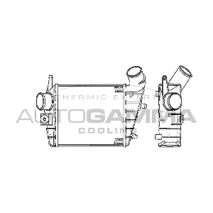 103011 AUTOGAMMA