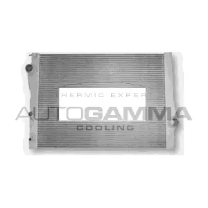 107129 AUTOGAMMA