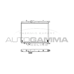 103107 AUTOGAMMA