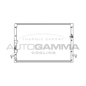 AUTOGAMMA 102810