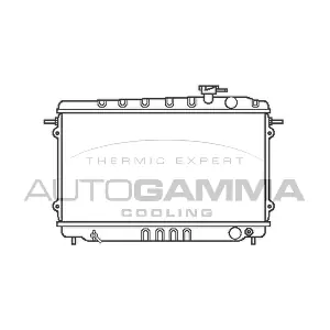 100401 AUTOGAMMA