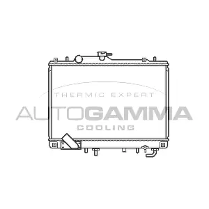 102210 AUTOGAMMA