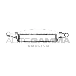 101506 AUTOGAMMA