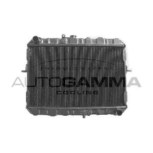 AUTOGAMMA 101999