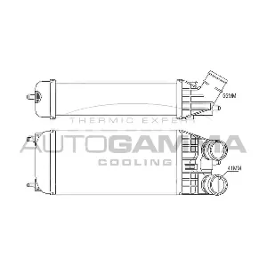 105675 AUTOGAMMA
