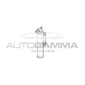 106033 AUTOGAMMA