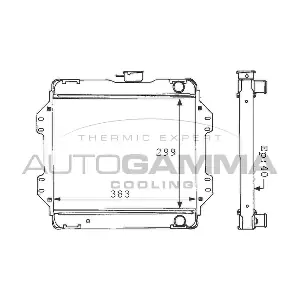 100945 AUTOGAMMA