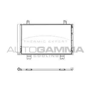 107567 AUTOGAMMA