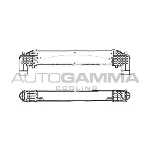 101965 AUTOGAMMA