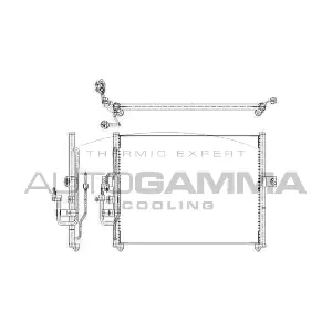 103842 AUTOGAMMA